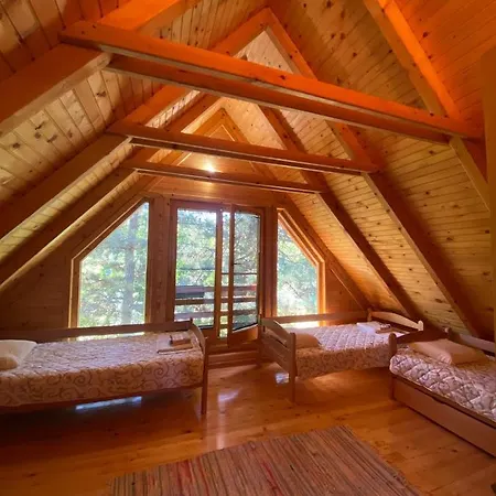 Brvnara Oaza Mira - Devojacki Bunar Alibunar