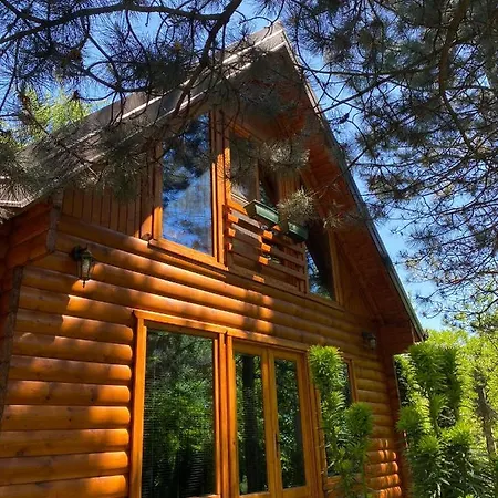 Brvnara Oaza Mira - Devojacki Bunar Alibunar