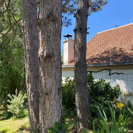 Brvnara Oaza Mira - Devojacki Bunar Holiday home