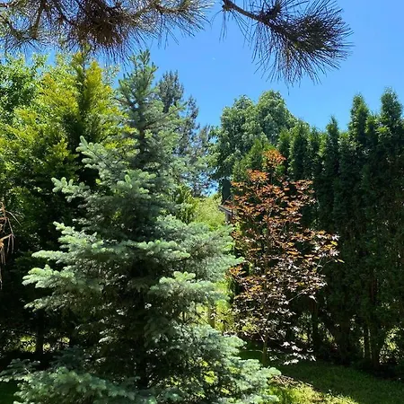 Brvnara Oaza Mira - Devojacki Bunar Holiday home Alibunar