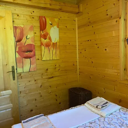 Brvnara Oaza Mira - Devojacki Bunar Holiday home Alibunar