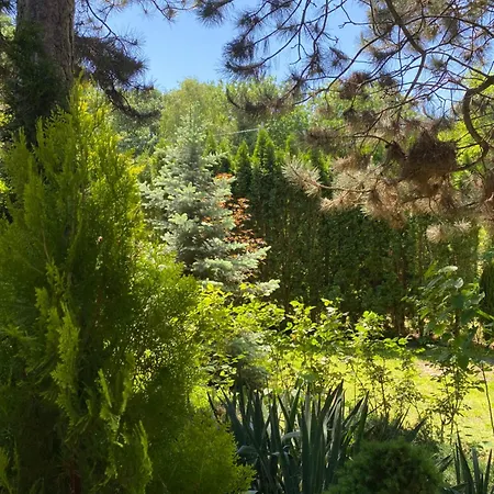 Prázdninový dům Brvnara Oaza Mira - Devojacki Bunar *