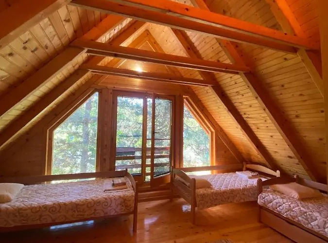 Brvnara Oaza Mira - Devojacki Bunar Alibunar