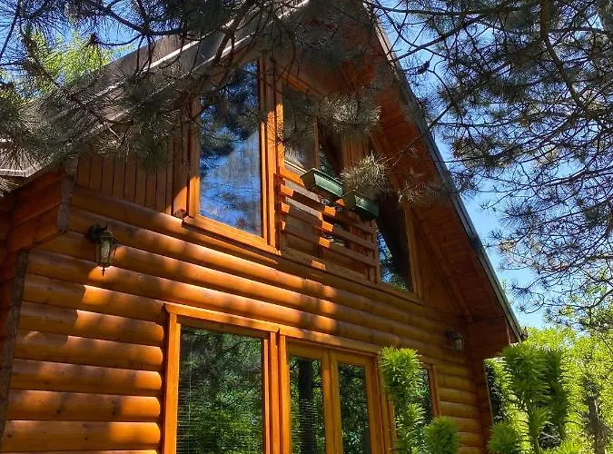 Brvnara Oaza Mira - Devojacki Bunar Alibunar