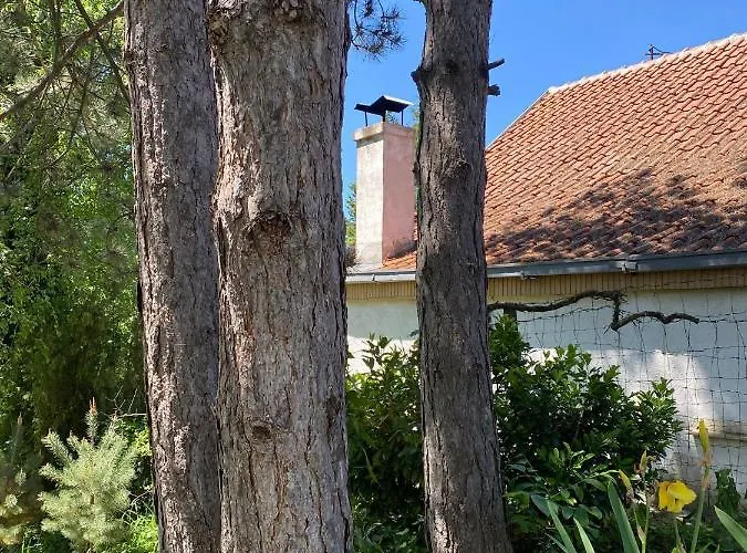 Brvnara Oaza Mira - Devojacki Bunar Σπίτι διακοπών