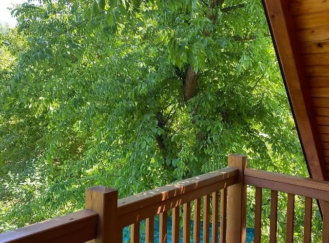 Brvnara Oaza Mira - Devojacki Bunar 펜션