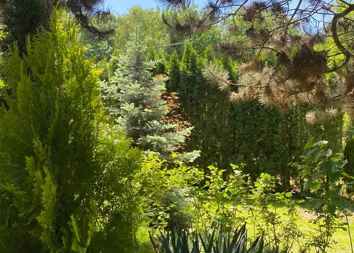 Σπίτι διακοπών Brvnara Oaza Mira - Devojacki Bunar *